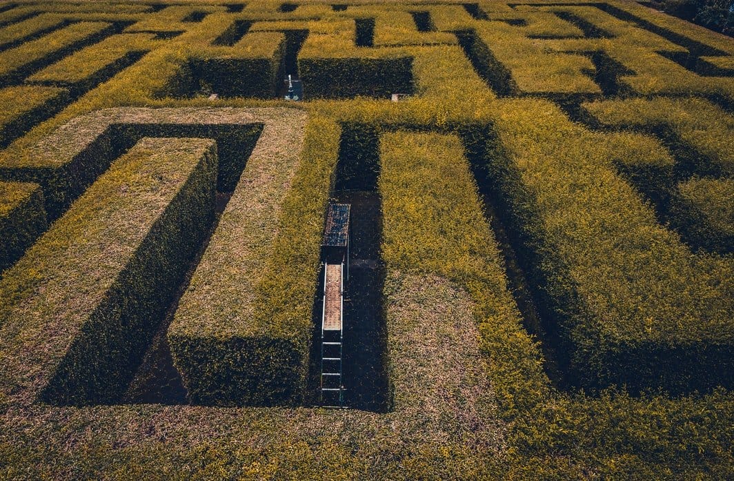 A maze to represent using social networking to find a job