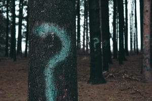 question marks on trees to represent finding out your buyer's why for how to differentiate when selling
